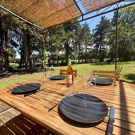 Maisonnette Avec Petite Foret Valréas Exterior photo